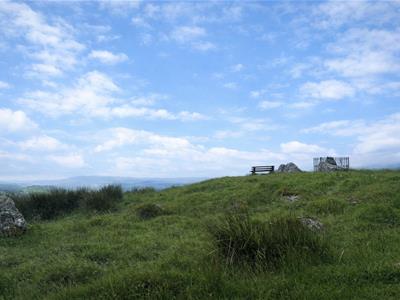Picture 16